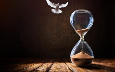 Välkommen till en ny webbsida – ”Ändens tid”